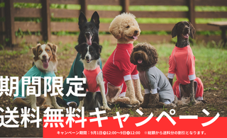 【9/1~9/9】期間限定 送料無料キャンペーンのお知らせ
