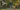 【10/1 12:00~10/8 12:00】AUTUMN SALE 2025のお知らせ