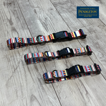 PENDLETON　COLLAR　Tamiami